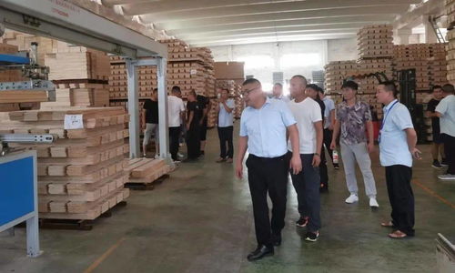 賦能共贏，攜手冠林經銷商共探合作新篇章